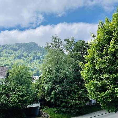 Gemuetliches Apartment Mit Bergblick Im Herzen Von Immenstadt Im Allgaeu Immenstadt im Allgäu Exterior photo